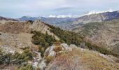 Trail Walking Esparron - Rocher de Saint-Pierre - Photo 1