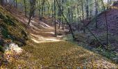 Tour Zu Fuß Siehdichum - Schlaubetal-Wanderweg - Photo 5