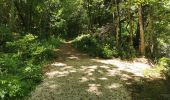 Trail Walking Saou - Petit et Grand Pomerolles - Forêt de Saoù - Photo 6