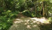 Tour Wandern Saou - Petit et Grand Pomerolles - Forêt de Saoù - Photo 6