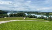 Trail Walking Mattsee - Le tour du Mattsee - Photo 16