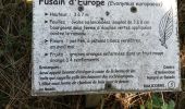 Trail Walking Malicorne-sur-Sarthe - Malicorne - Photo 3