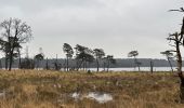 Trail Walking Kalmthout - Kalmthout parcours Park 24,4 km - Photo 9