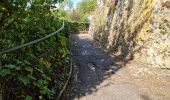Randonnée Marche Châteaudun - Châteaudun - Marboué - Photo 6