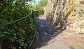 Tour Wandern Châteaudun - Châteaudun - Marboué - Photo 6