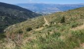Trail Walking Err - tami de nuria - Photo 3