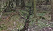 Randonnée A pied Ryedale - Dalby Beck Red Trail - Photo 9