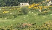 Trail Walking Font-Romeu-Odeillo-Via - Font Romeu  - Photo 2