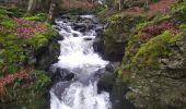 Tocht Stappen Besse-et-Saint-Anastaise - 2024 02 11 Besse - Circuit des cascades de Chiloza - Photo 1