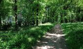 Tour Wandern Verviers - aqueduc-bois de Jalhay-Cossart  - Photo 1