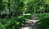 Percorso Marcia Verviers - aqueduc-bois de Jalhay-Cossart  - Photo 1