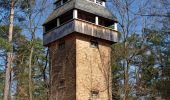 Tour Zu Fuß Schenkendöbern - Kaltenborner Berge - Photo 8