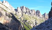 Percorso Marcia Cortina d'Ampezzo - DOLOMITES 02 - Refugio Pederü - Photo 5