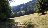 Tour Wandern Bellecombe-en-Bauges - montagne du charbon : montée par la piste Reposoir. col de bornette . refuge de la combe / retour même itinéraire sauf par les champs et bois depuis bornette  - Photo 3