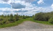 Trail Walking Waimes - baraque michel - botrange via fagne de polleur, retour via fagne wallonne  - Photo 15