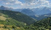 Tour Wandern La Côte-d'Arbroz - 11 MORZINE  - Photo 10