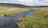 Tocht Stappen Prinsuéjols-Malbouzon - prinsueljols-aubrac etape st Jacques  - Photo 7