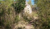 Tocht Stappen Maxou - Bois des Carrières_Le Lac-Blanc 5 km - Photo 2