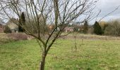 Trail Walking Tervuren - Promenade XT2 - Photo 14