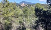 Tour Wandern Le Barroux - Les Crêtes du Graveyron par l'écluse de la Falque - Photo 8