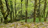 Trail Walking Saint-Julien - Le tour des jasses : Bourdils Chavardes Landres Bramefan - Photo 15