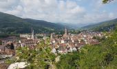 Tour Wandern Günsbach - Gunsbach - Munster - Photo 9
