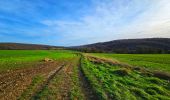 Excursión Senderismo Profondeville - Balade à Arbre - Profondeville - Photo 12