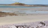 Trail Walking Erquy - VARIANTE SUR LE CIRCUIT DE L'  ILOT ST MICHEL ET DES MOULINS - Photo 5