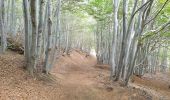 Excursión Bici eléctrica Castiglione di Sicilia - Etna nord brunek - Photo 4