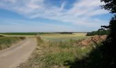 Tocht Stappen Anhée - Boucle de 12 km au départ de Warnant - Photo 3