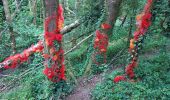 Percorso Marcia Égriselles-le-Bocage - Egriselles le Bocage 240616 - Photo 2