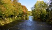 Tour Wandern Hotton - Promenade Hotton -17- Promenade de la Pierre - Photo 4