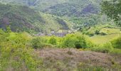 Tocht Stappen Golinhac - golinhac conques  - Photo 18