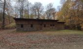 Tour Wandern Saint-Hubert - Awenne (Saint-Hubert)  - Photo 2