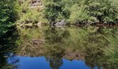 Trail Walking Tréhorenteuc - les landes de Gurwant et le Val sans retour - Photo 7