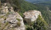 Trail Walking Belgentier - Barre de Cuers depuis Belgentier - Photo 7