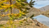 Tour Wandern Crévoux - 2024-10-14 Lac du Crachet - Photo 1