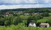 Tour Wandern Havelange - Méan  - Photo 2