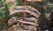 Tour Wandern Chaudes-Aigues - Chemin de la mine  - Photo 2