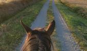 Tocht Paardrijden Fronton - Trec 2 finalisé - Photo 7