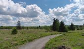 Trail Walking Waimes - baraque michel - botrange via fagne de polleur, retour via fagne wallonne  - Photo 20