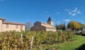 Trail Walking Vauxrenard - Itinérant Beaujolais rouge étape 6 Foretal - Macon gare TGV - Photo 7