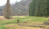 Tour Wandern Monschau - Rando Eifel des jonquilles narcisses 18,3 - Photo 12