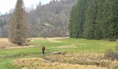 Randonnée Marche Montjoie - Rando Eifel des jonquilles narcisses 18,3 - Photo 12