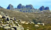 Trail Walking Quenza - Plateau de Cuccione - Photo 5