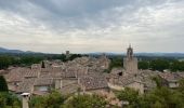 Randonnée Marche Vaugines - PF-Vaugines - Cucuron - l'Ermitage - Vaugines - 17.06.2021 - Photo 15