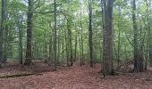 Trail Walking Sprimont - autour de dolembreux  - Photo 19