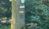 Tour Elektrofahrrad Ostwald - Randonnée VTT ostwald,Kirchheime,wasselonne,Forêt  - Photo 17