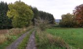 Tour Wandern Tenneville - Boucle agricole - Le circuit de la ferme des Frênes  - Photo 18