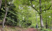 Randonnée Marche Murol - Tour du Tartaret - Photo 1